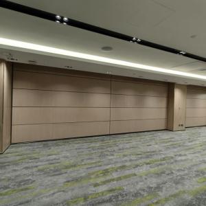 vertical retractable  room dividers