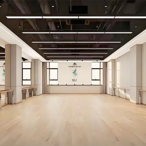 Dance Studio Evolution: Ballet School with Acoustic Movable Walls