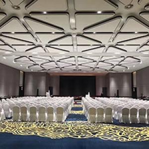 Large Conference Hall Movable Wall