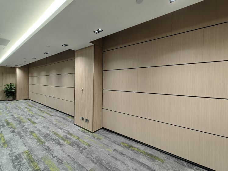 Interior room divider doors